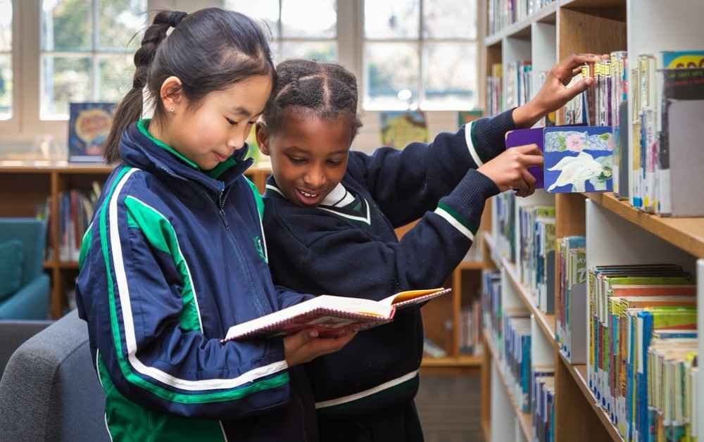 Boarding Schools In Johannesburg